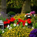 cremation services in Dallas, TX