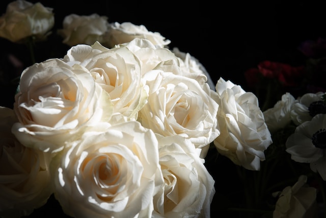 cremation services in Dallas, TX