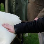 cremation services Irving, TX