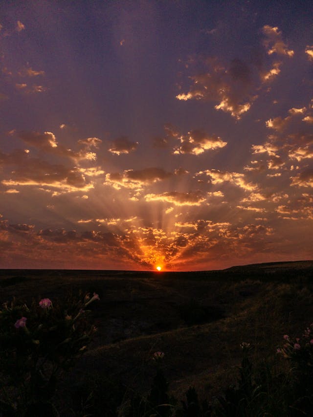 cremation services in Irving, TX