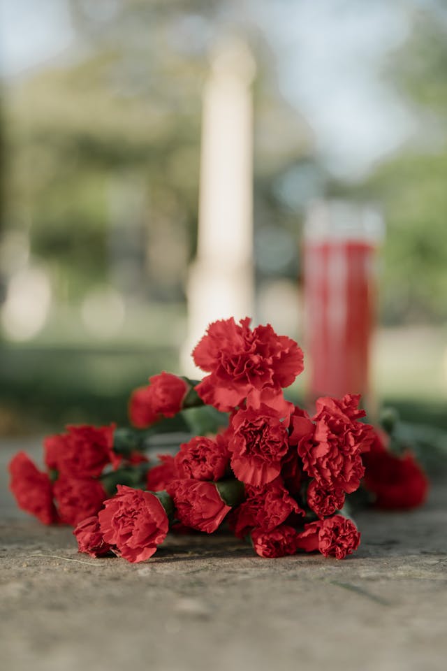 cremation services Dallas, TX