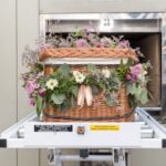 cremation services Dallas, TX