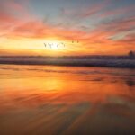 cremation services Dallas, TX